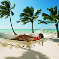 Отзыв от Елена - DTV виза